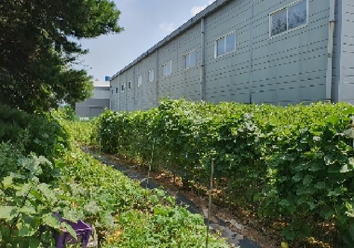표시 목록 1 토지내 텃밭
