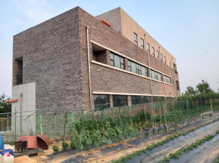 * 본건 목적물 전경