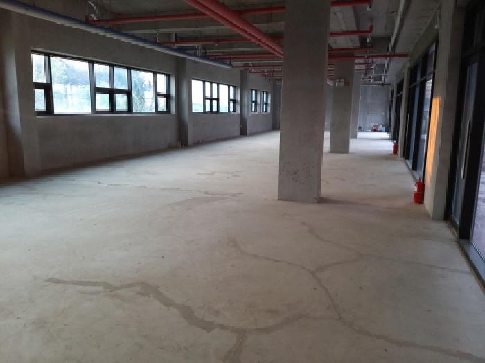 * 본건 목적물 전경(1층 내부 좌측)