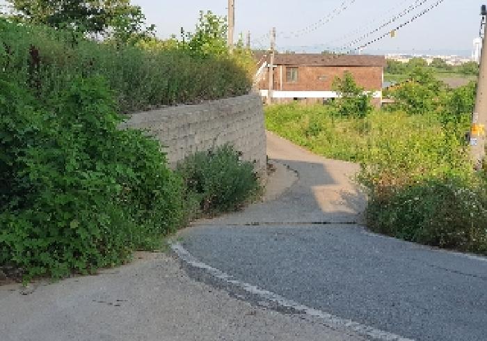 표시 목록 3번 도로