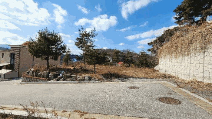 기호5 토지 및 수목