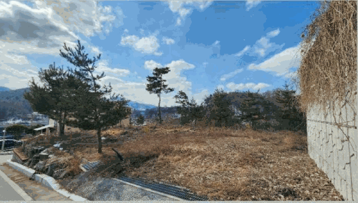 기호9 토지 및 수목, 묘목