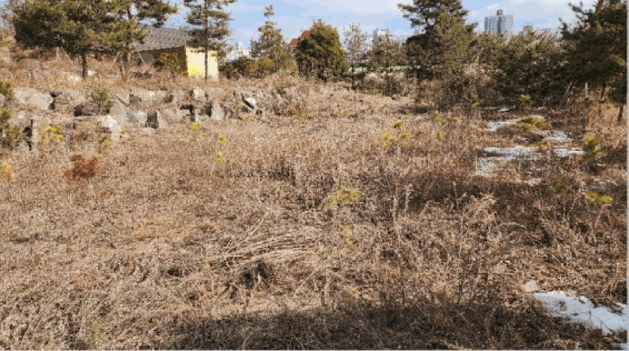 기호4 토지 및 묘목