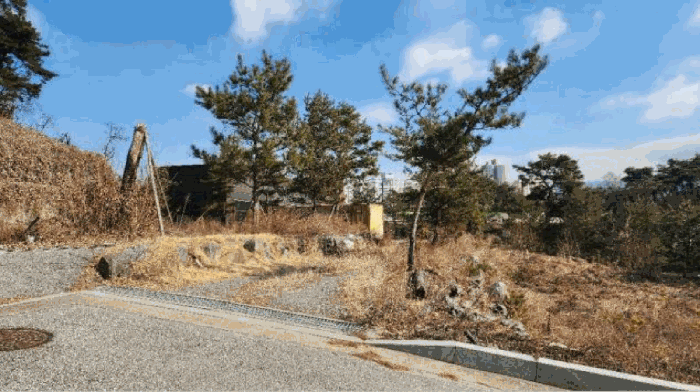 기호2 토지 및 수목