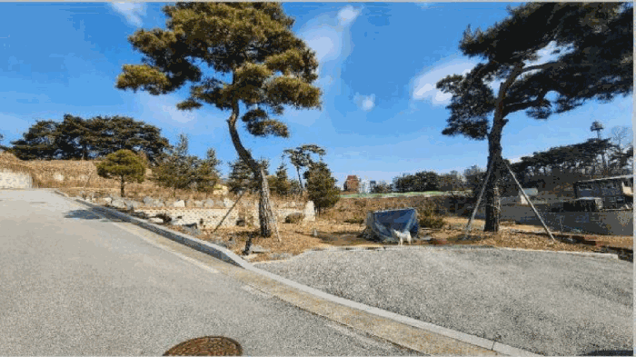 기호7 토지 및 수목