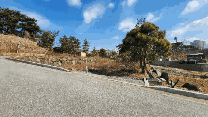 기호4 토지 및 수목