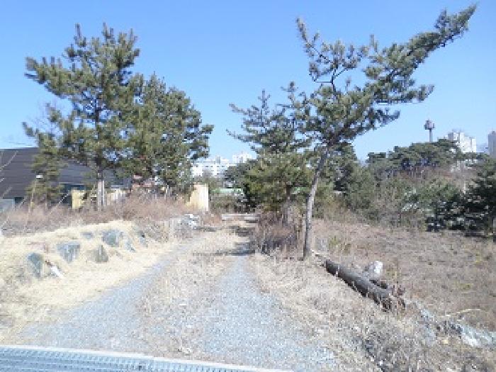 목록2 토지 중 진입로 부분