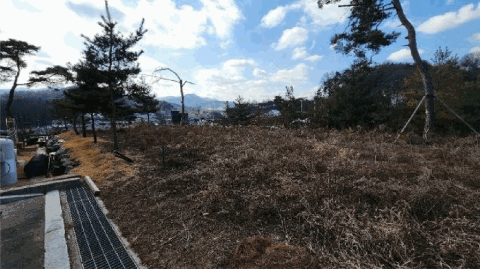 기호8 토지 및 수목