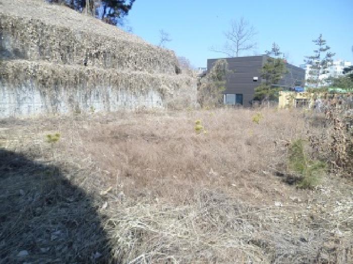 목록3 근접촬영