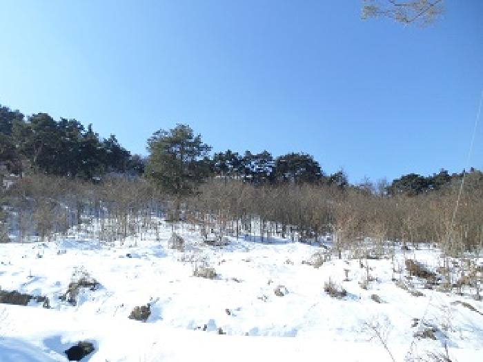 목록34,35,48 일대