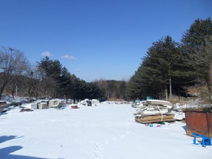 목록3,4,5 근접촬영 및 수목