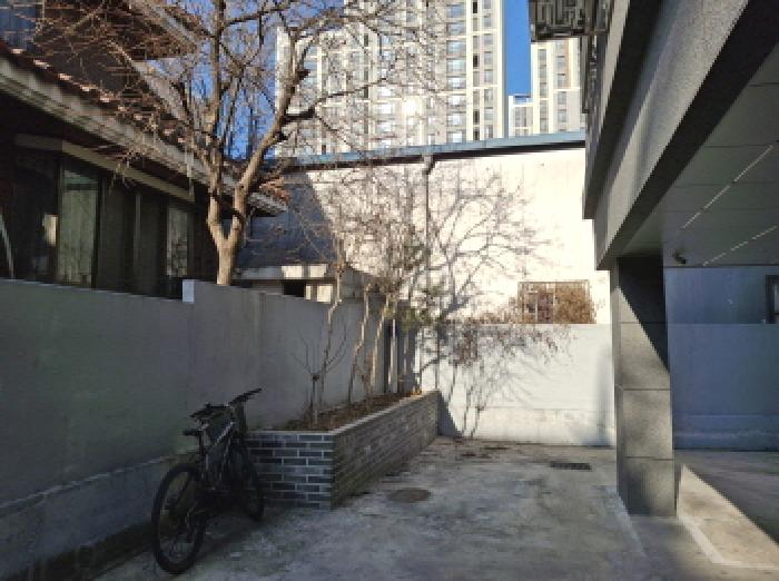 제시외 수목 모습