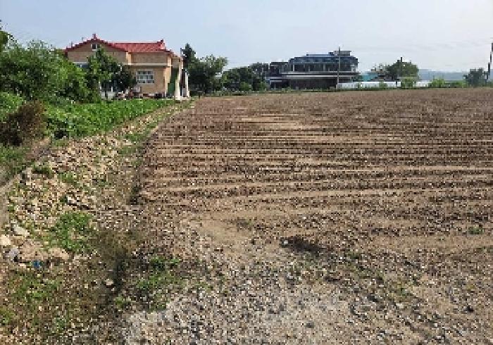 본건 부동산 전경