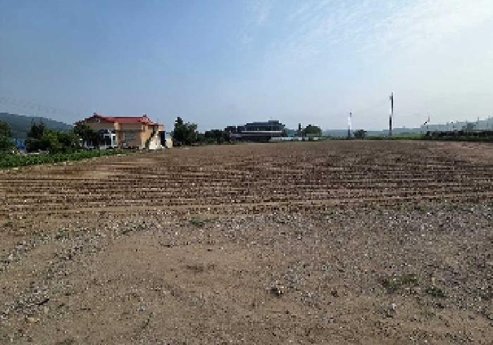 상동(경작 준비)