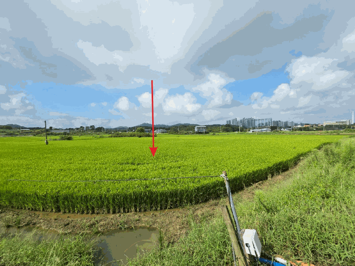 [본건전경(동측 촬영)]