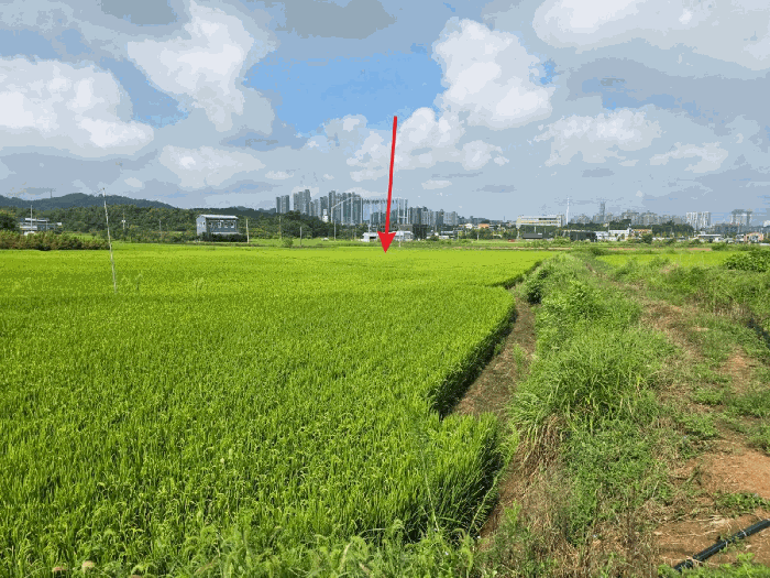 [본건원경(남동측 촬영)]