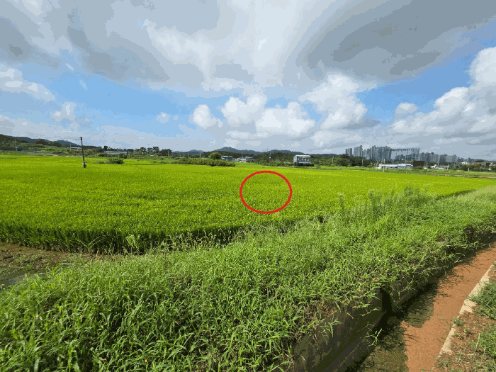 [본건전경(동측 촬영)]