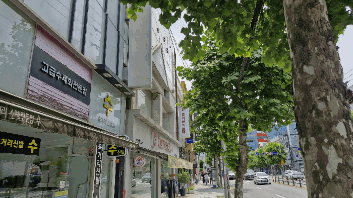 본건 전경