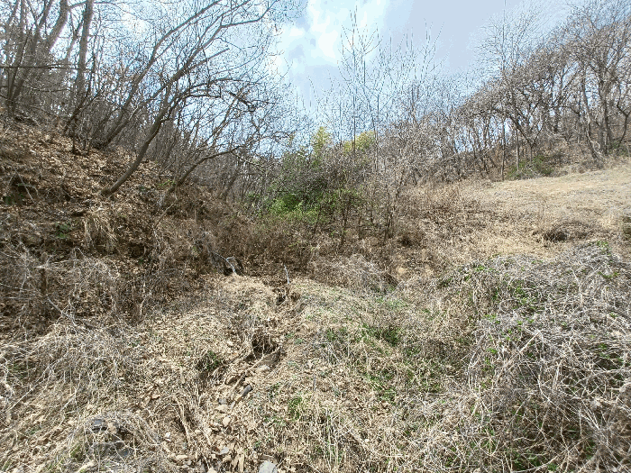 기호(3)