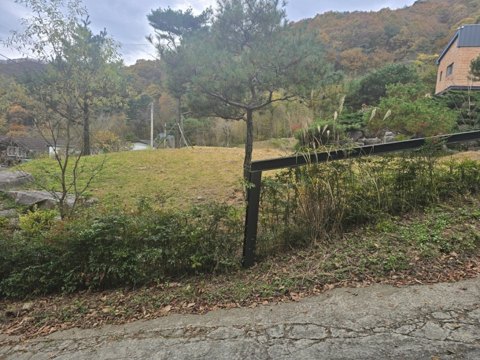 본건 사진(일련