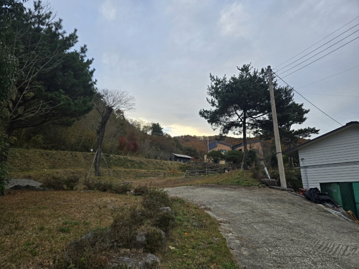 본건 사진(일련