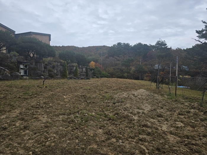 본건 사진(일련