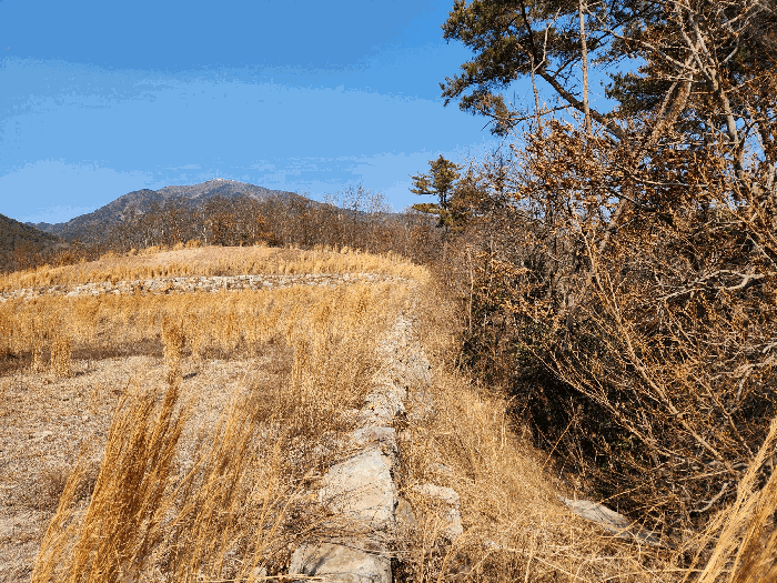 기호5 동측 지