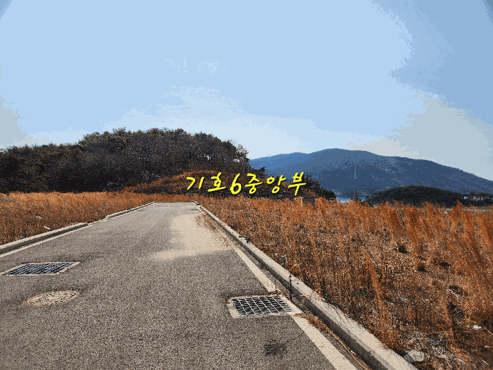 기호6 중앙부분