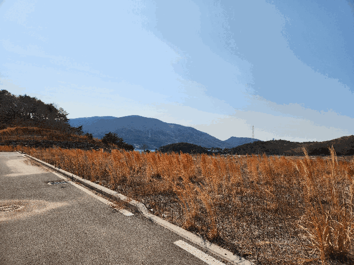기호6 서측부분