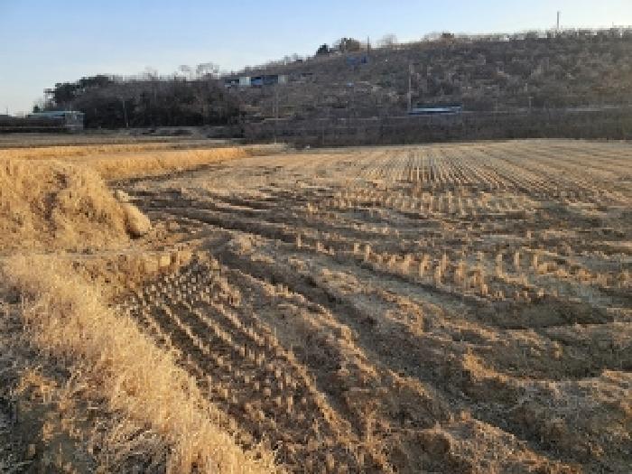 물건번호2