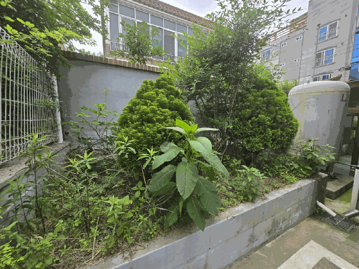 제시외수목 기호(a)