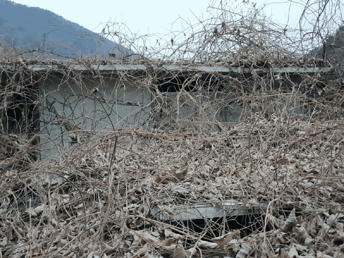 【 제시 외 건물 ㉦ 】