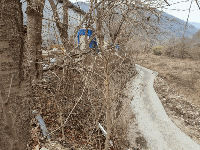 【 본 건 기호 6) 토지 】