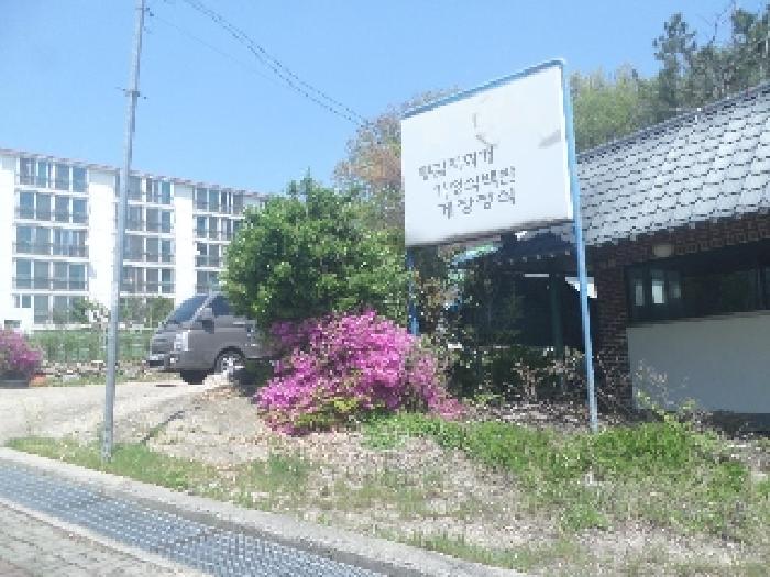 목록5. 지상 경계부근 수목