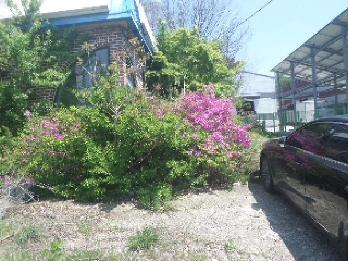 목록5. 지상 경계부근 수목