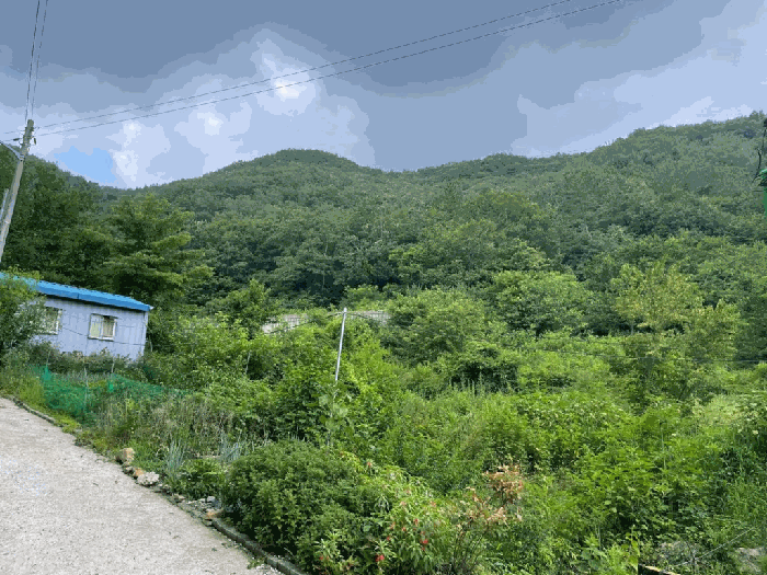 【 주변 전경 】