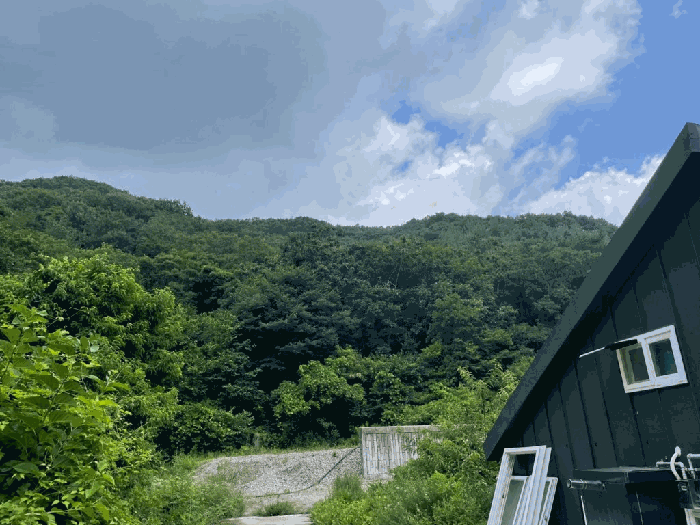 【 기호(1) 전경 】