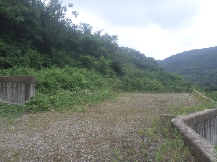 사진4. 목록2 토지의 모습(일부는 임야 상태임)