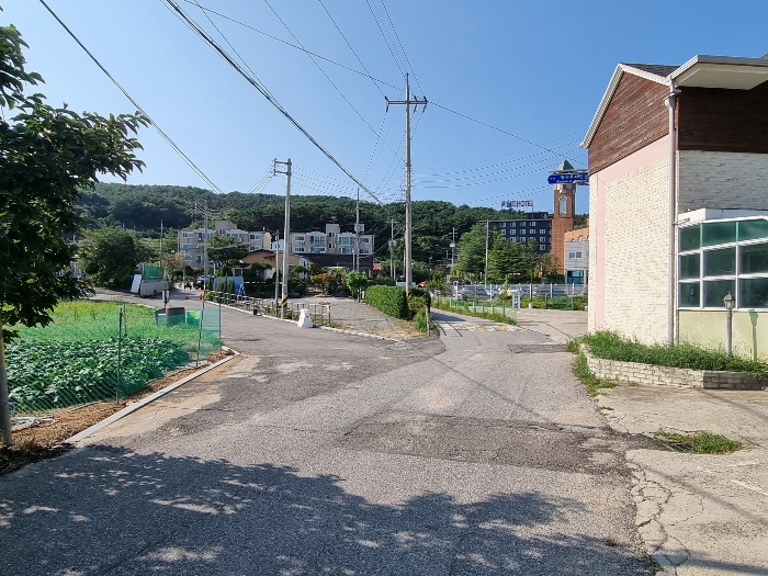 접면도로 및 주위환경