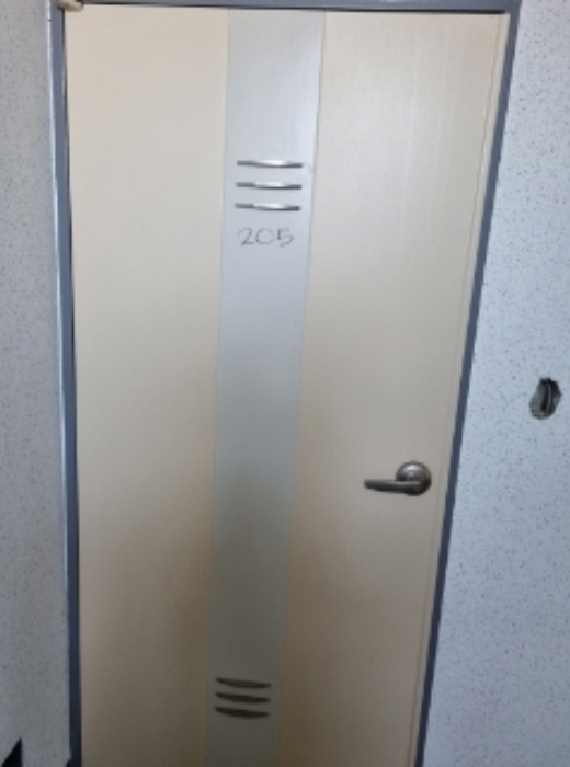 * 본건 목적물 7동 205호 현관문