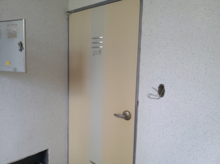 * 본건 목적물 1동 203호 현관문 