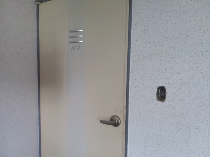 * 본건 목적물 2동 101호 현관문