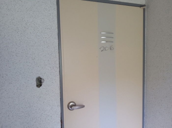 * 본건 목적물 1동 206호 현관문 