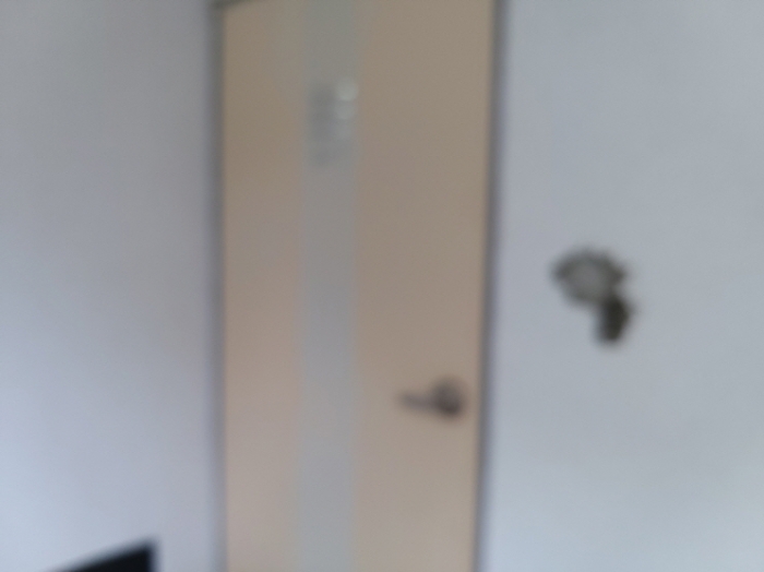 * 본건 목적물 1동 301호 현관문 