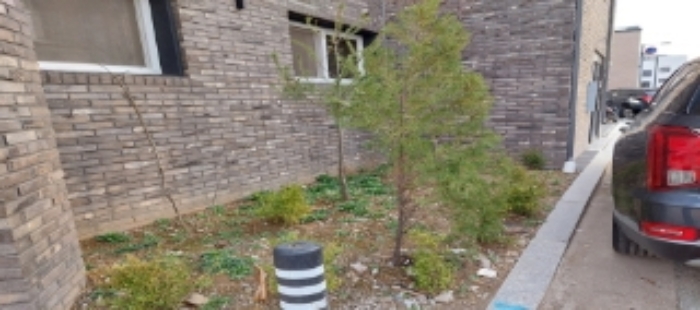 본건 토지 화단 전경