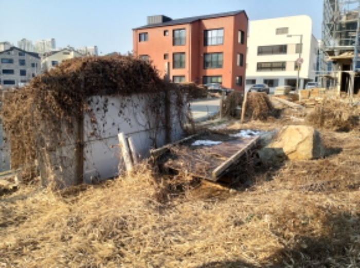 * 본건 목적물 지상 목재더미와 돌 전경