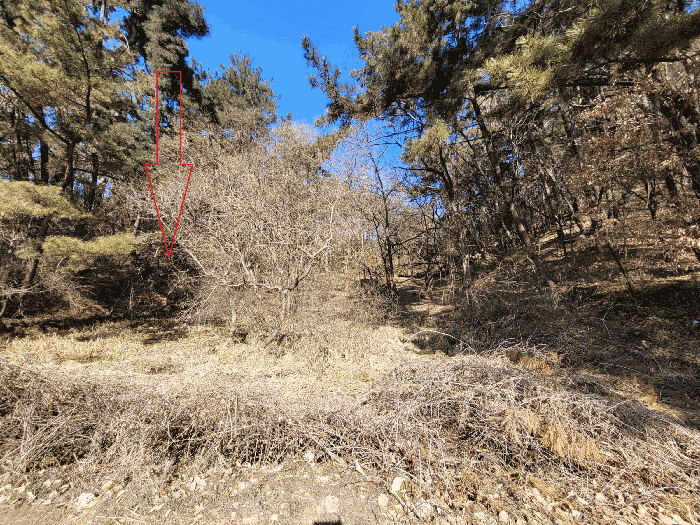 기호(4) 남동측에서 촬영
