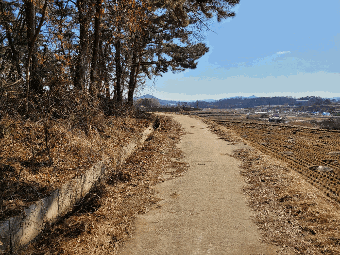 기호(1) 남측 도로
