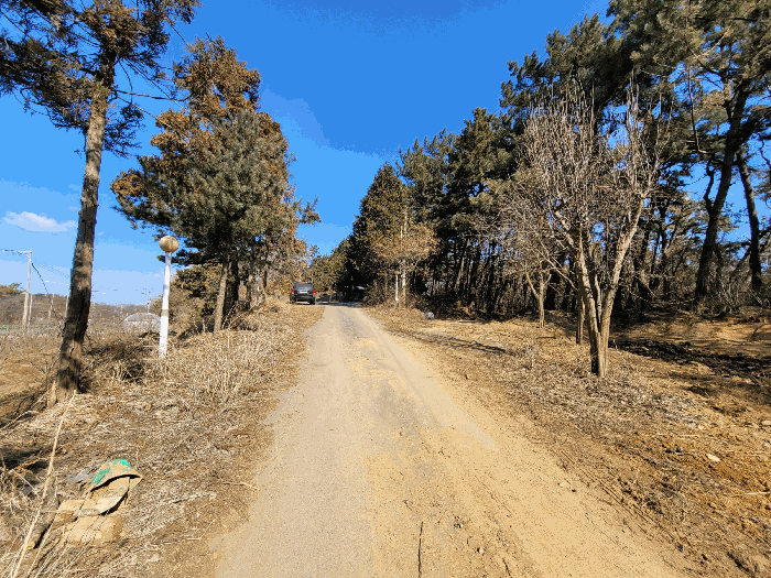 본건 서측 진입로(북측부분)
