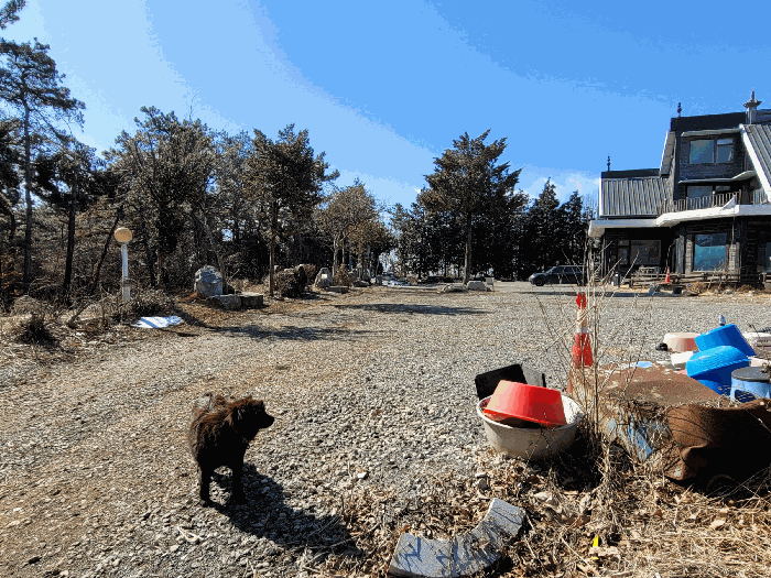 기호(3) 북측 도로 및 타인점유부분
